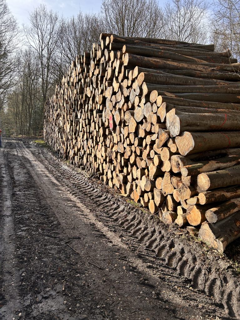 Vente de grumes et bûches à Le Trait