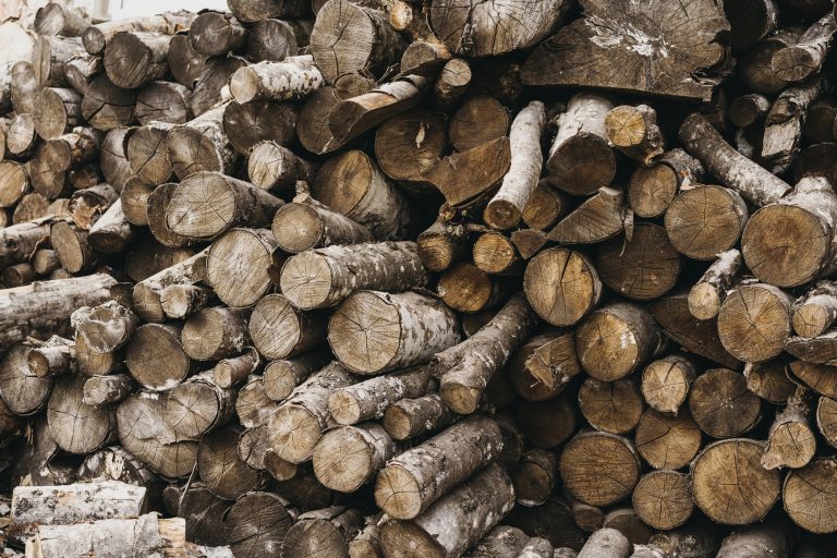bûches de bois à Malaunay : guide d&rsquo;achat et stockage