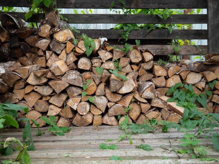 Livraison bois de chauffage à Barentin : conseils et budget