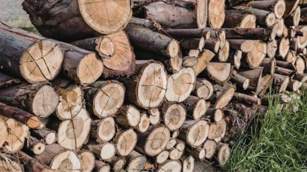 Vente de bûches de bois à Canteleu