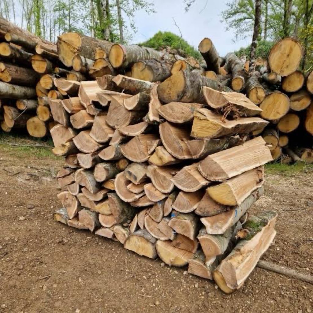Vente de bois de chauffage à Maromme