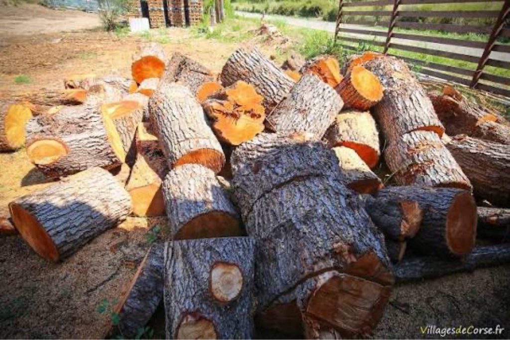 Vente de bûches rondes à Pavilly
