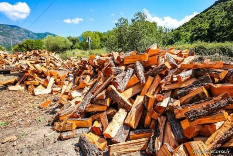 Vente de bois chauffage à Canteleu